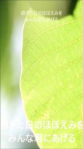 さよならをするために ビリーバンバン cover Aki #youtubemasaakiakiyama #哀愁 #japanesetraditionalmusic