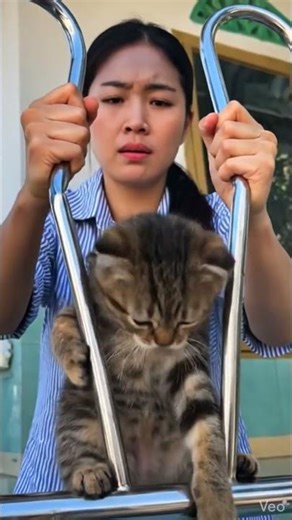 Trapped Cat Rescue 🐱💔 | Emotional Short Video