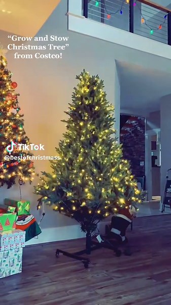 Best Christmas Decor Ideas for a Festive Home