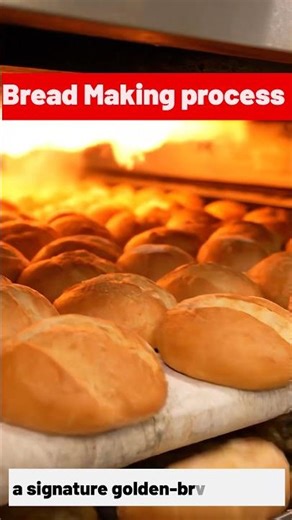 read Making Process 🍞 | From Dough to Bread #shorts #viral #farming #factory #facts#reels #viral