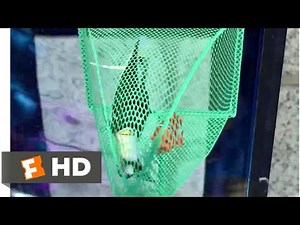 Finding Nemo [17/20] Movie CLIP - The Saving Nemo! [2003] HD