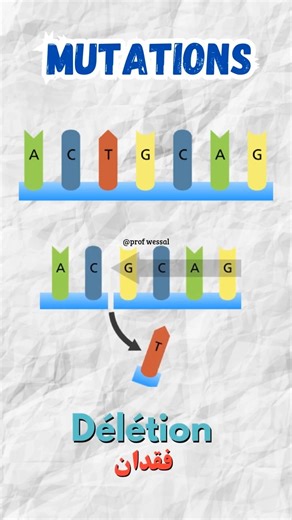 Les mutations ✅️