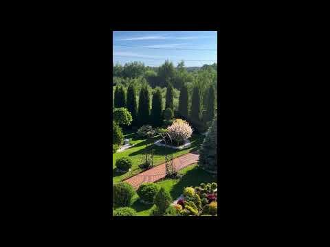 Peaceful Garden 🌱 relax