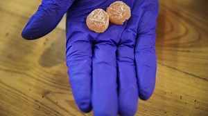 Michigan dog attacks, nearly kills owner after being fed THC gummy