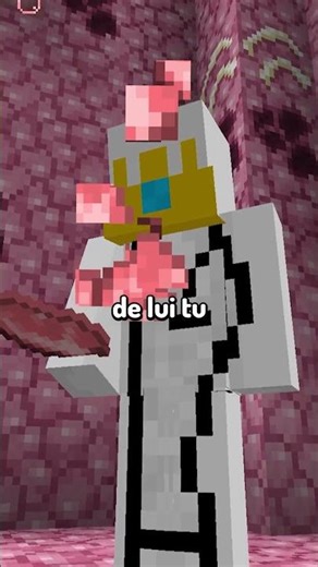 Mod banni dans minecraft