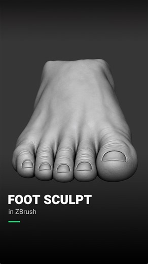 How to Sculpt Feet in ZBrush | Foot Anatomy Tips