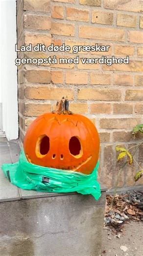 Lad dit døde græskar genopstå 🎃🪦 Sortér det som madaffald (i en pose med knude) eller som haveaffald på genbrugsstationen. ⚡ Madaffald omdannes til biogas og gødning 🌿 Haveaffald bliver til kompost Så kan dit afdøde græskar gøre gavn - selv efter Halloween 👻 | Kredsløb
