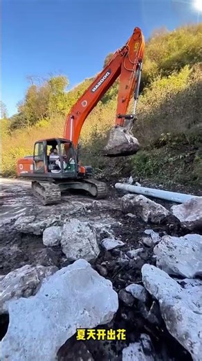 Never Stops Digging: My Mini Excavator Adventures