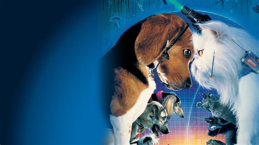 Cats Dogs | Netflix