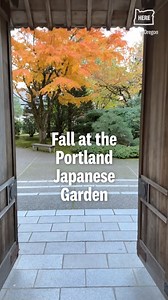 18K views · 567 reactions | Fall has settled in here in the Pacific...