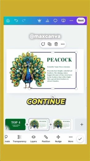Episode 6: How To Present Details in Presentation #canva #presentation #students #graphicdesign