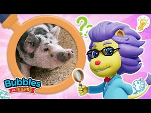 Learn About Pigs! 🐷 Fun Pig Facts for Kids | Bubbles and Friends