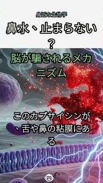 27. 🚨衝撃！辛い物で鼻水出るのは「脳が騙されてる」からだった!?🤯そのメカニズムを解剖！ #辛いもの #鼻水 #カプサイシン #TRPV1 #三叉神経 #科学 #豆知識 #ドキュメンタリ