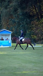 So we didn’t qualify for Badminton… but this event meant more to me than I can put into words! So so proud of Win for bringing back a top ten placing at her first ever regional champs. Sadly her mind was a bit blown in the dressage, a combination of reasons that you’ll see in the vlog. Certainly not her best score for 34.8, but she’s an animal at the end of the day, and we can’t control external factors. Her head was back in the game for jumping though, and she put in two epic performances to go