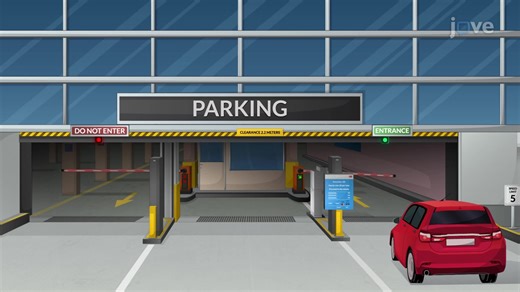 Video: Introducción a las funciones