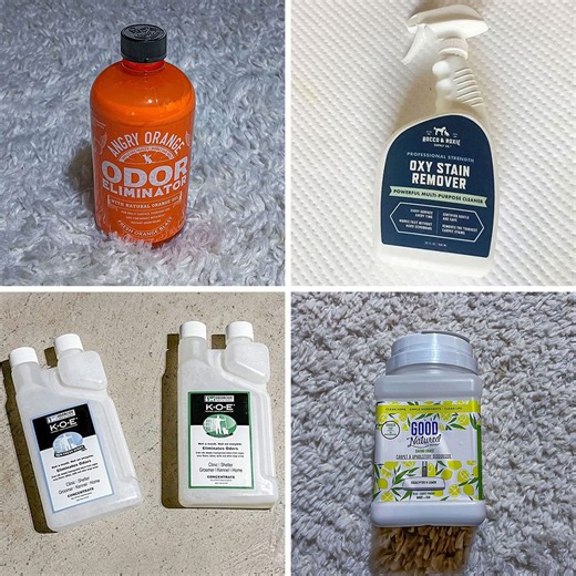 Our Editor Tested the 4 Best Pet Odor Eliminators for Your Home, Yard and Kennel