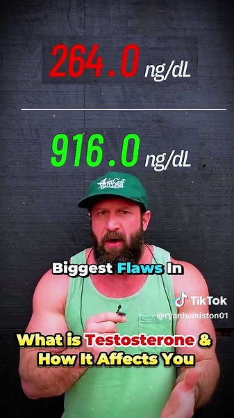 Understanding Testosterone and Its Impact on Fitness