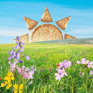 Today is the first day of spring, how will you celebrate? Pizza is always a good choice...duh 💁🍕 | Papa Johns Atlanta