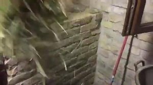 Rocco Siffredi Official on Reels