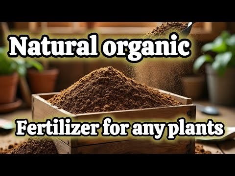 Natural organic fertilizer for any plants