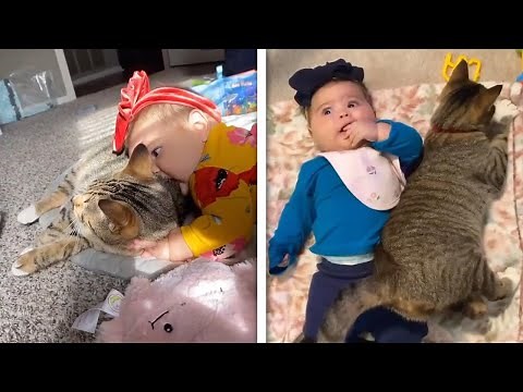 Cat Becomes Best Friends With Baby Girl // Animal Friendships