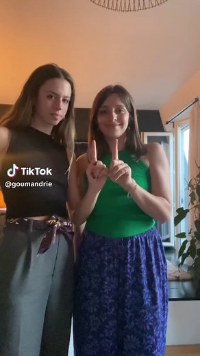 Learn French Ballet Steps: Brise Vole, Battu, Echappe