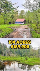 48K views · 644 reactions | Amazing Cabin on 133+ Acres Acres Near The Lake | Log Homes | Facebook