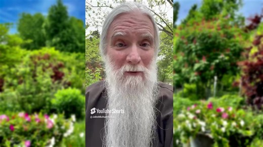 1.6K views · 112 reactions | John Michael Talbot Reflection - Mourning Pope Francis during Easter and Praying for the Conclave. www.littleportion.org | John Michael Talbot | Facebook