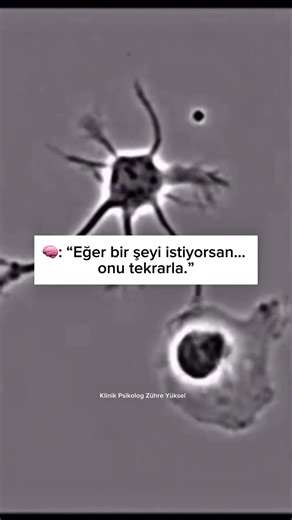 Zihninizi Yeniden Tasarlamak: Tekrarın Nörolojik Gücü #nöroplastisite #psikoterapi