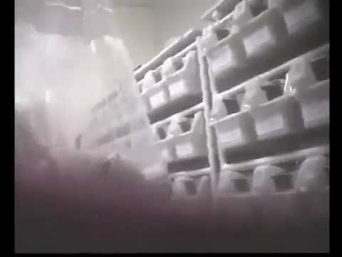 BOTOX Testing on Animals (BUAV - Investigation)