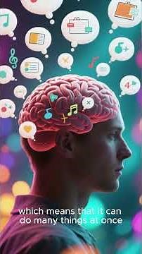 ٣ سبتمبر ٢٠٢٥