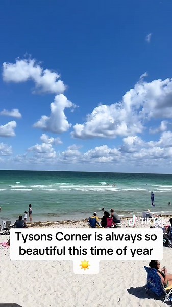 Discover the Beauty of Tysons Corner This Season