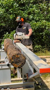 Check out these stunning lightly spalted maple slabs – perfect for a wide range of DIY woodworking projects! Whether you’re crafting home decor, kitchen decor, or living room decor, these live edge slabs are a dream for woodworkers. The possibilities are endless! Can’t wait to see what my local woodworking customers create with these unique pieces.This maple log was chainsaw milled with my Stihl MS 661 and Logosol F2 from Fox Forestry LLC. Want your own setup? Visit Fox Forestry to check out the