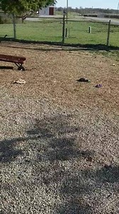 30 reactions · 8 comments | Happy tails | ABC Boarding Kennel and Grooming for Pets | Facebook