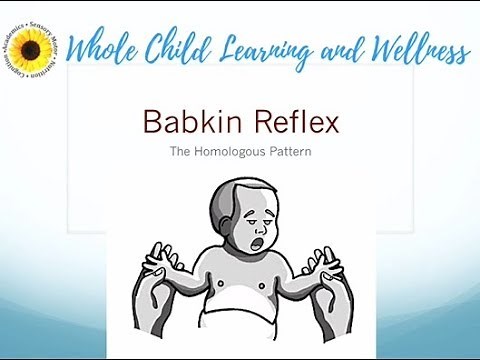 12 Babkin Reflex
