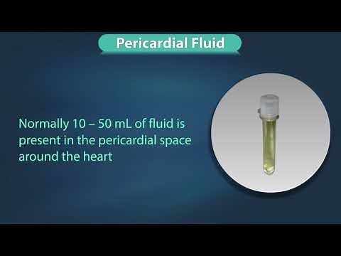 Fluid Examination Specific