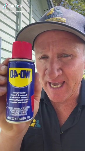 WD-40 Wasp Hack: Prevent & Destroy Nests
