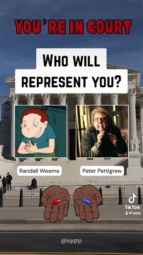 Who will represent you in court? 👨‍⚖️⚖️ #randallweems #peterpettigrew #lawyer #decisionmaking