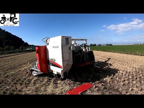 Yanmar Combine: If the running belt breaks, neither the harvesting part nor the auger will rise