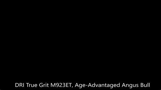 M923