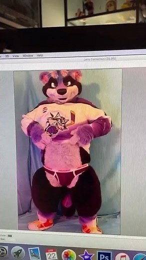 Furry Inflation Video