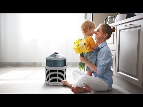 The Defender Air Purifier | FilterQueen