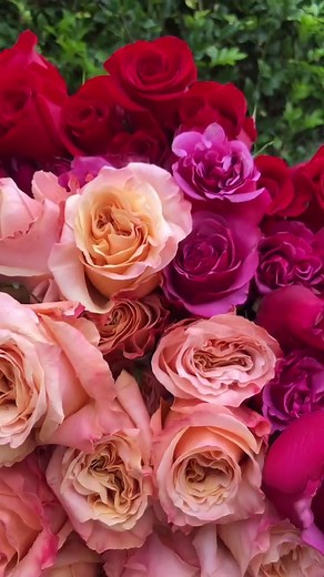 How gorgeous are these Colombian roses! Available this weekend in store.🌹 Open till 5pm today. | Northside Flower Market