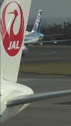 JAL機の垂直尾翼後方を左右に蛇行するANA機（函館空港）