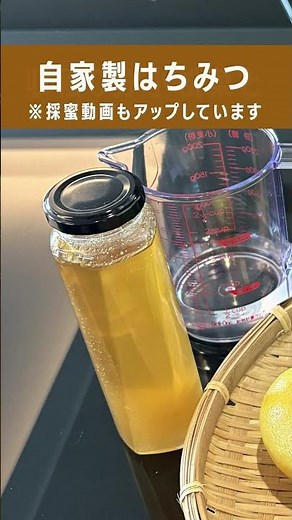 【未来の家庭菜園】水だけで育つ小松菜の全記録｜肥料別の成長差と絶品レシピ3選