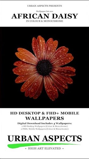 HD Desktop & Phone Wallpapers 4-Pack #urbanaspects #highartelevated