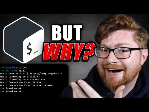 run SHELLCODE within BASH!?!