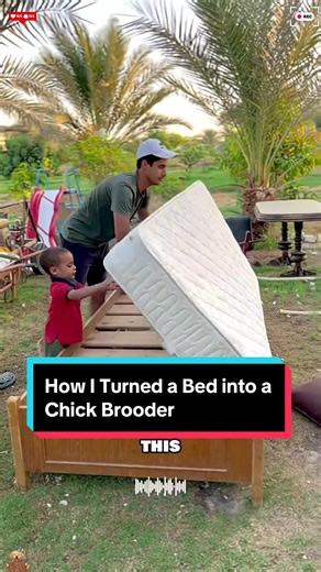 Transforming a Bed into a Chick Brooder
