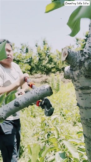 🌿🪓 Heavy-Duty Bypass Lopper Demonstrating Precise Branch Pruning