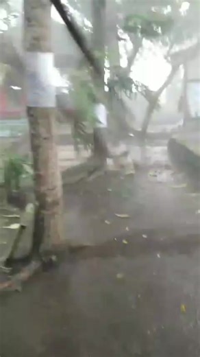 angin topan hari ini